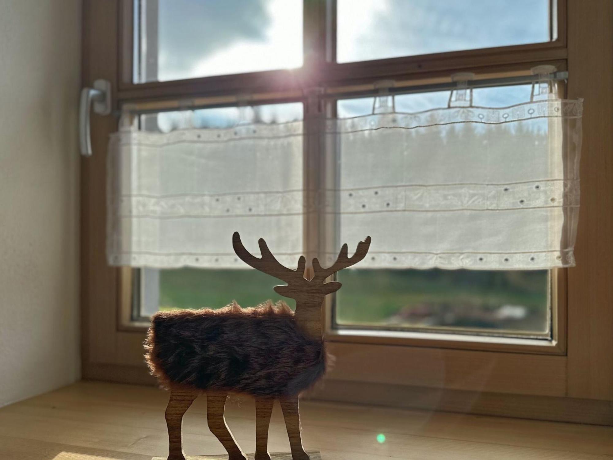 Ferienwohnung Im Bayerischen Wald Mit Terrasse ヴィヒタッハ エクステリア 写真
